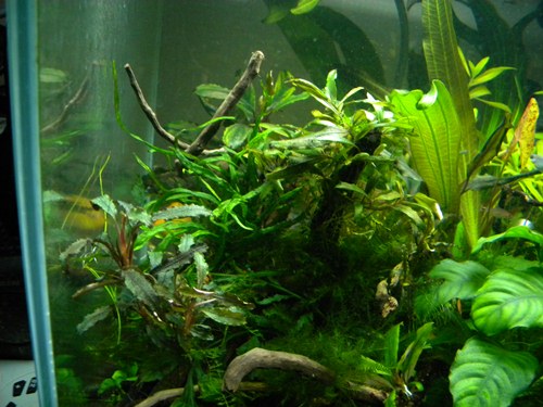 f0138093_2110098.jpg
