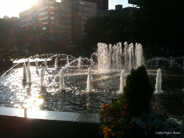 f0001895_13535775.jpg