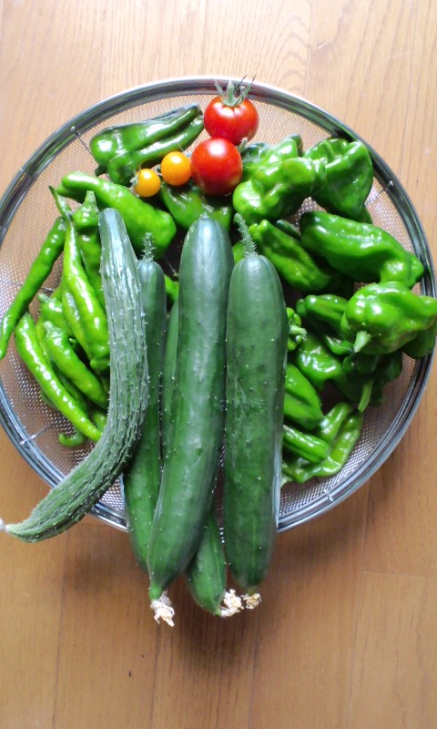 e0014000_131247.jpg