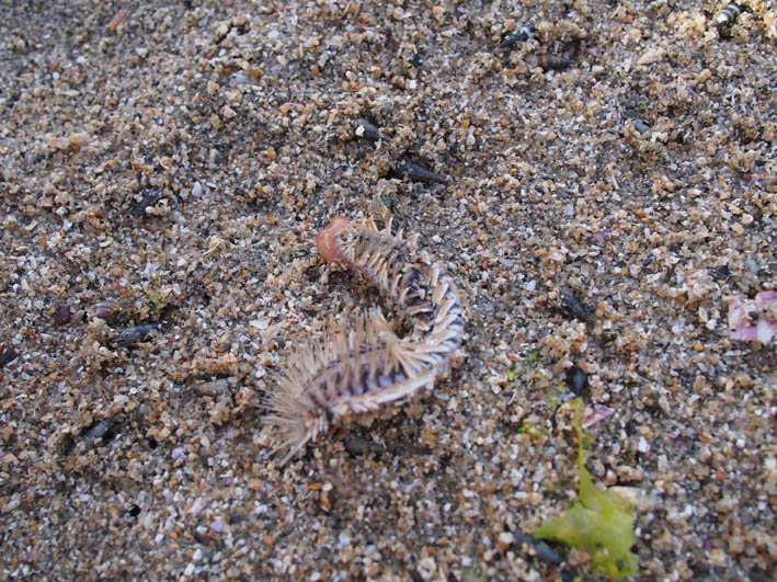 e0064400_6515167.jpg