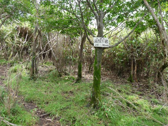 b0025101_5114175.jpg
