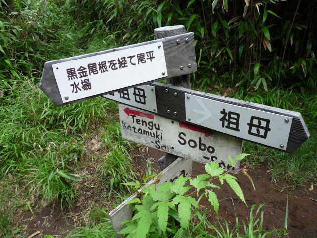 b0025101_5202842.jpg