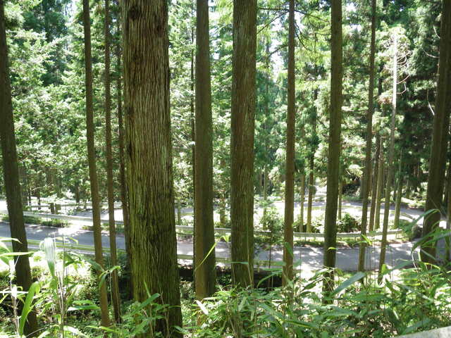 a0116205_20284543.jpg