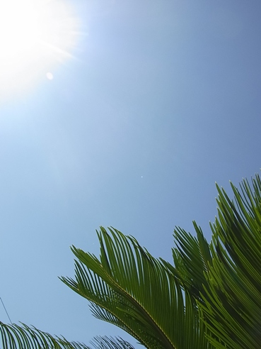 c0205806_15525558.jpg