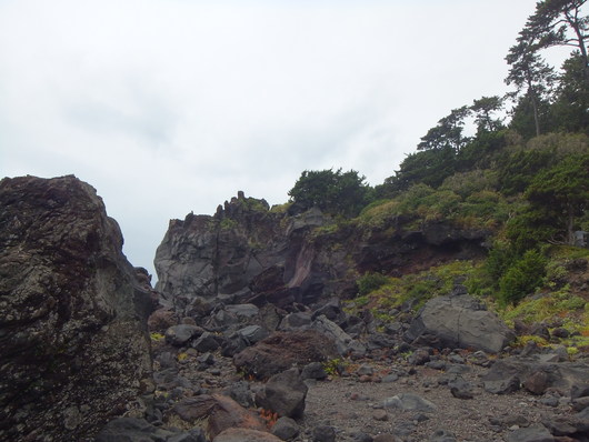 d0149306_845219.jpg