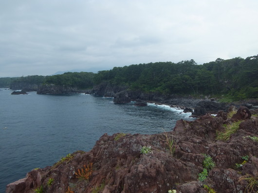 d0149306_9133425.jpg