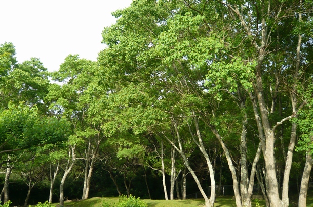 f0221708_16323539.jpg