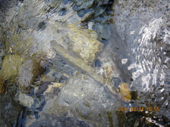 d0241509_21563721.jpg