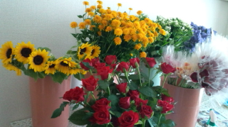 f0054809_1204493.jpg