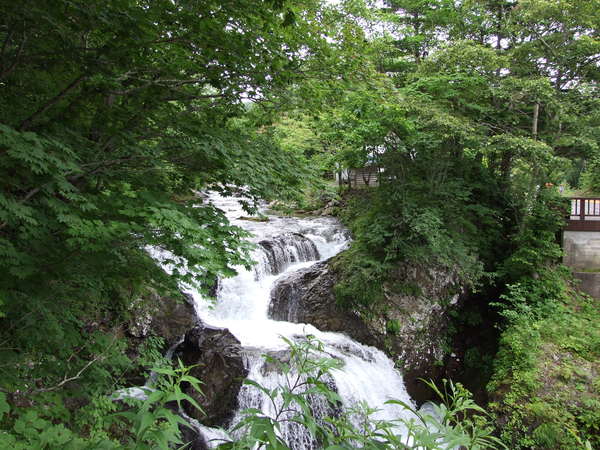 b0061010_13501636.jpg