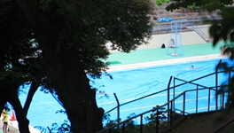 c0186410_107713.jpg