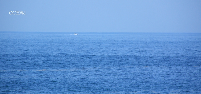 c0186410_212897.jpg