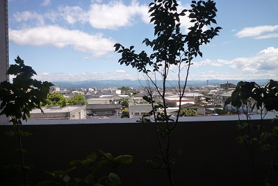 f0031420_5404482.jpg