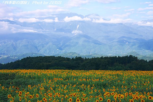 a0195032_21482666.jpg
