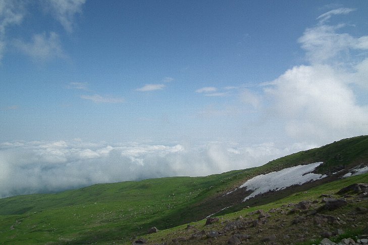 f0118332_14481766.jpg