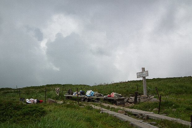 f0118332_1475949.jpg