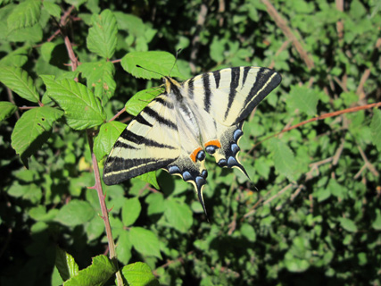f0234936_1462275.jpg