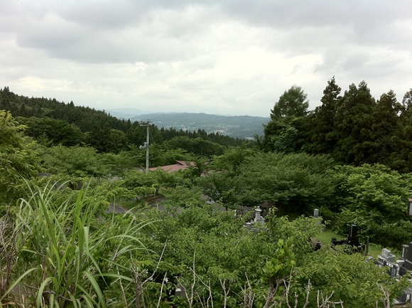 e0191541_1141385.jpg