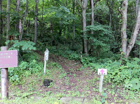 e0191541_147233.jpg