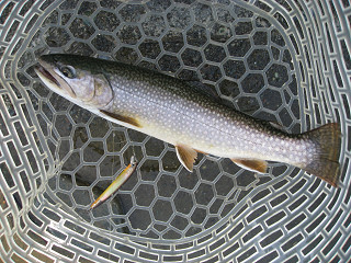 f0065341_21413030.jpg