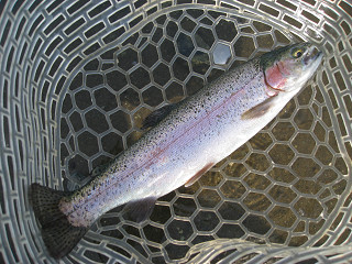 f0065341_21415152.jpg