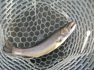 f0065341_21421340.jpg