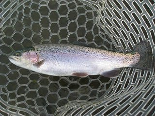f0065341_21423455.jpg