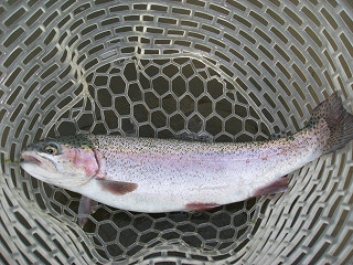 f0065341_2145418.jpg