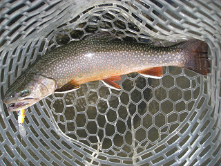 f0065341_2149251.jpg