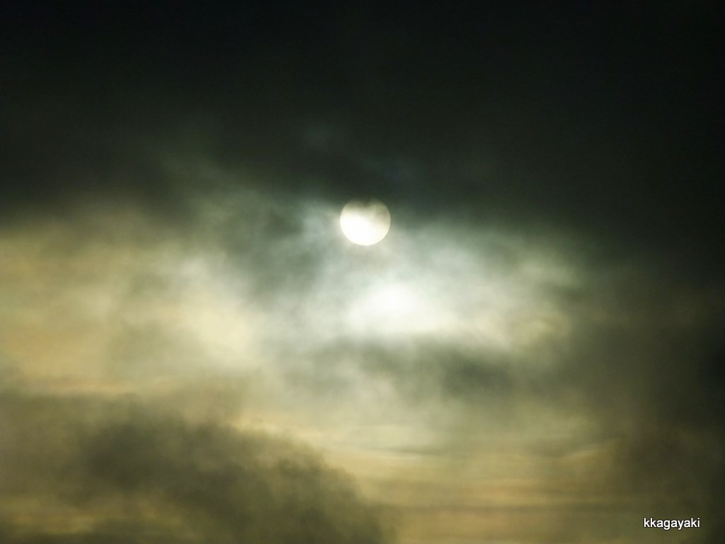e0206242_7444475.jpg