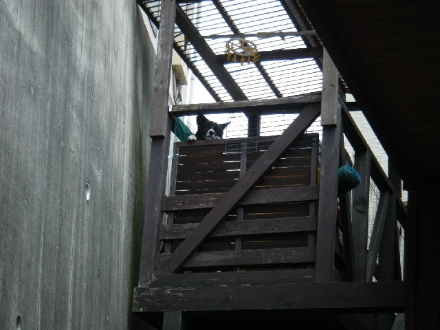 b0072650_1033966.jpg