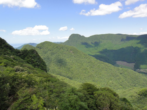 c0179351_18135092.jpg