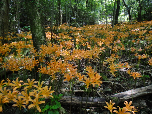 c0179351_18205551.jpg