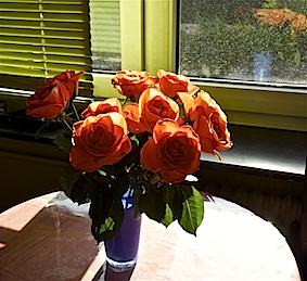a0157554_18373347.jpg