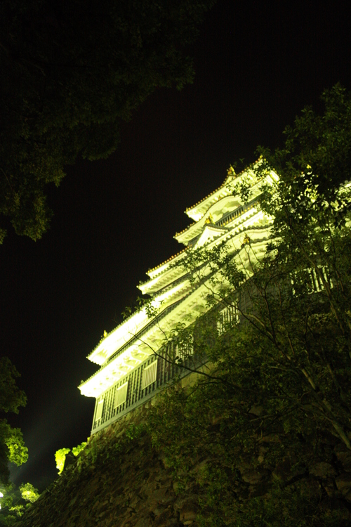 a0211756_0161083.jpg