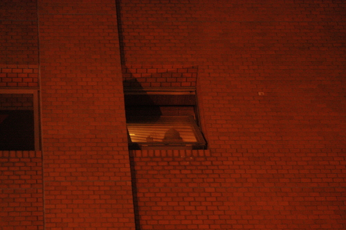 a0211756_0483513.jpg
