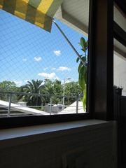 c0172261_875920.jpg
