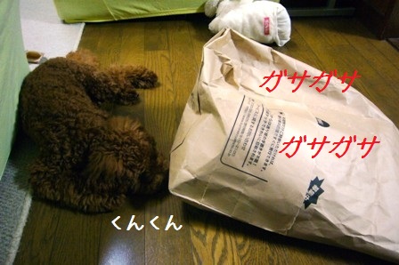 c0193061_2327868.jpg