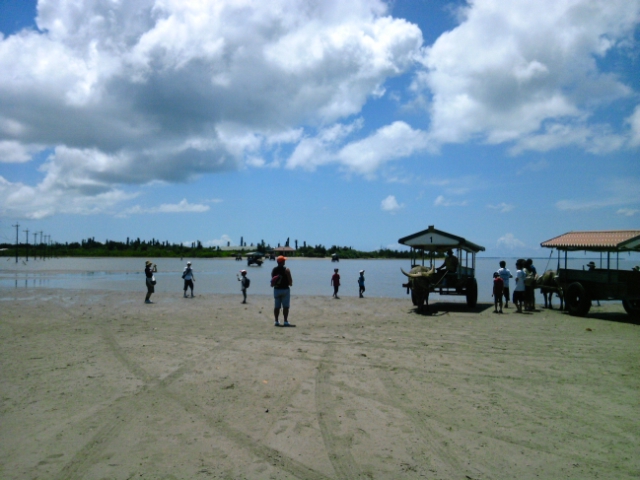 f0133261_13302982.jpg