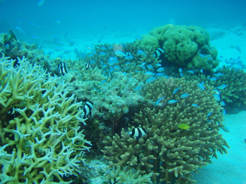 f0133261_142424.jpg