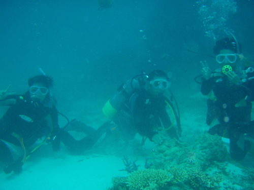 f0133261_1443632.jpg