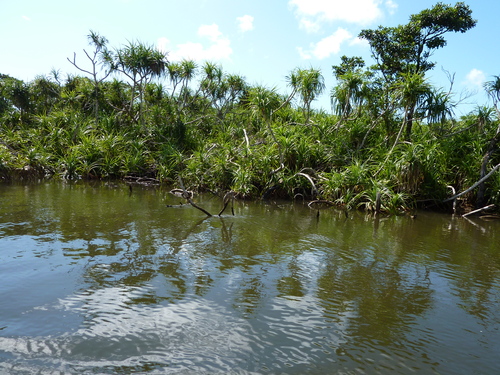 f0133261_15381812.jpg