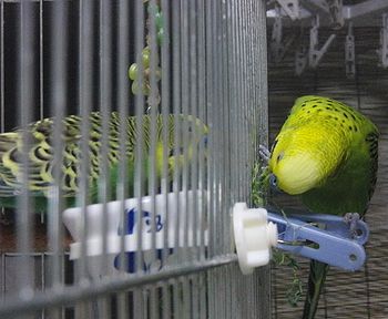 f0196665_23181011.jpg
