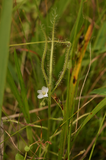 e0054067_22595991.jpg