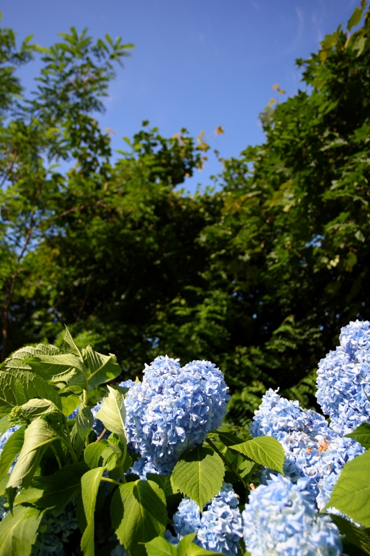 a0016775_23511090.jpg