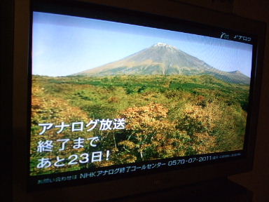 f0039281_10382795.jpg