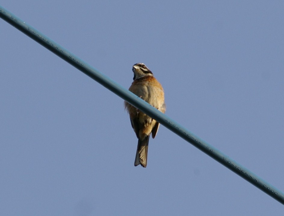 e0197884_13534124.jpg