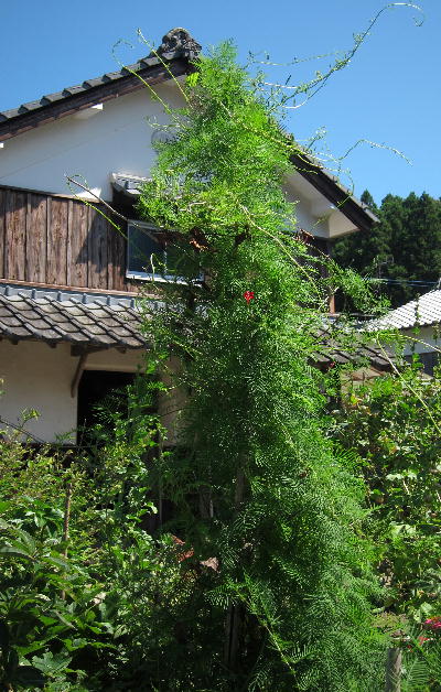 b0171185_22382774.jpg