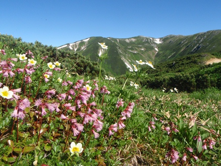 c0018489_042218.jpg