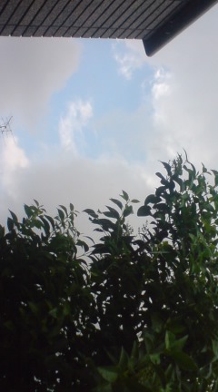 c0123890_21205691.jpg